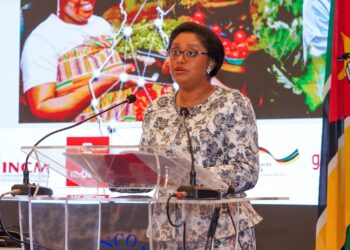 Estratégia de Inclusão financeira falha em Moçambique. Bancos reduziram agências, ATM, POS, crédito à agricultura e às PME´s