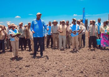 Agricultura com novo paradigma em Moçambique, menos dinheiro para camponeses e produção aquém das necessidades alimentares