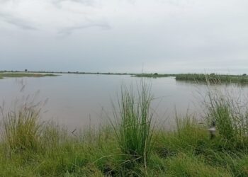 Cheias no Rio Limpopo, agravamento de inundações em Maputo, Matola e Boane; mais chuva em Moçambique nesta 5ª feira