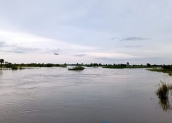 Agravam-se cheias na Bacia do rio Limpopo e aumentam inundações no Sul de Moçambique onde vai continuar a chover nesta 6ª feira