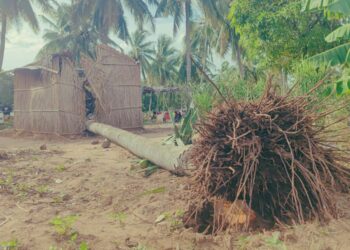 “Gezani” frustra previsões do Governo de Chapo
