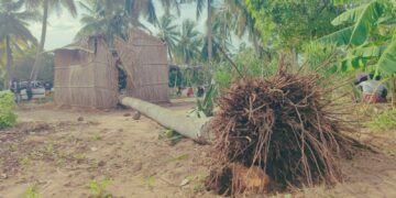 “Gezani” frustra previsões do Governo de Chapo