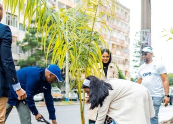 Standard Bank assinala Dia Mundial da Terra com plantio de mudas na Avenida Eduardo Mondlane