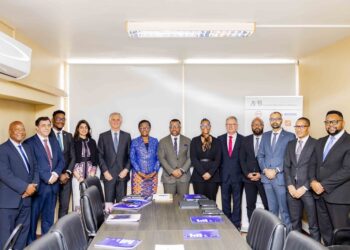 Esselina Macome assume presidência da Associação Moçambicana de Bancos