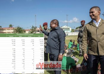 “Sustenta” falhou aumento da produção de comida em Moçambique