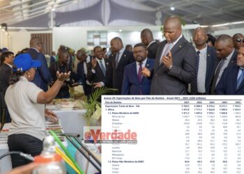 Exportações de Moçambique reduzem até para Zona de Comércio Livre Africana