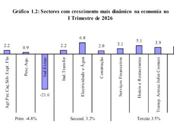 Economia de Moçambique volta a desacelerar; Suspensão da Mozal põe Indústria Extrativa e sector primário em recessão