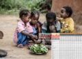 32,5 milhões moçambicanos não conseguem fazer 3 refeições diárias