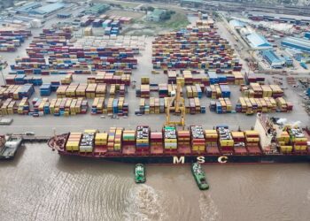 Porto da Beira recebe o maior navio da sua história