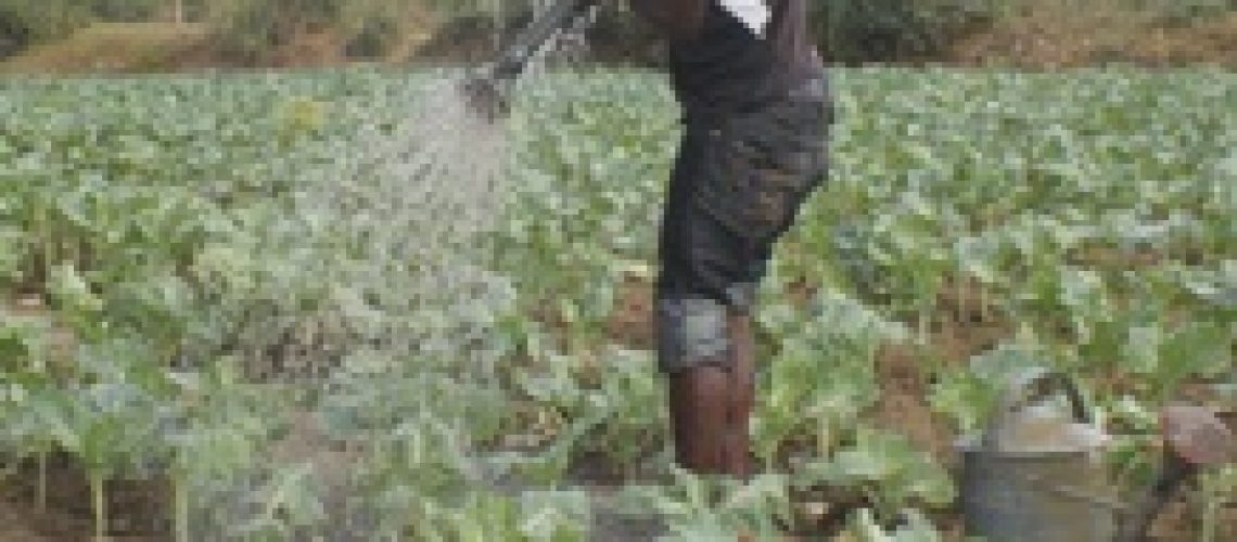 O clamor dos agricultores e da comunidade