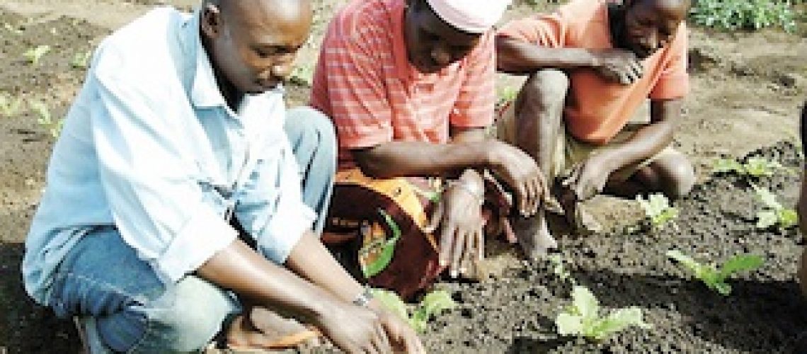 Em Moçambique a agricultura não alimenta o povo mas enriquece governantes e investidores estrangeiro