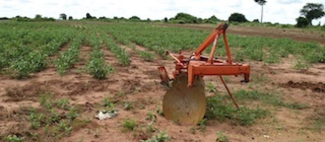Governo de Filipe Nyusi mantém agricultura de reprodução da dependência e do subdesenvolvimento