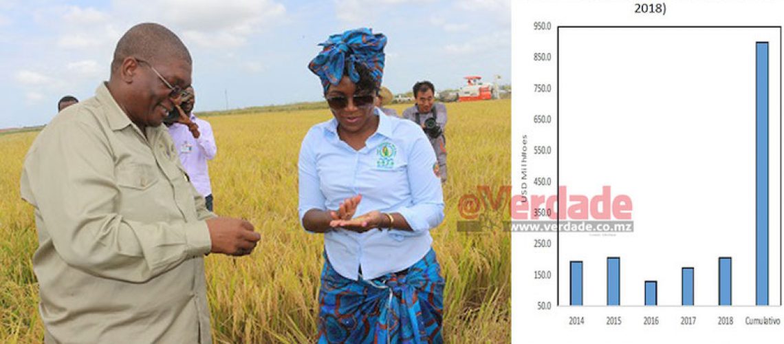 Estudo do Banco de Moçambique evidencia falhanço da produção de arroz em Gaza e que Governo falhou meta de produção