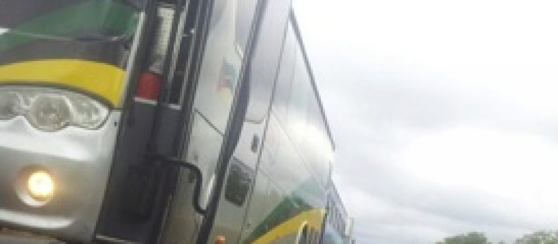 Renamo anuncia tréguas para que recenseamento aconteça em Gorongosa