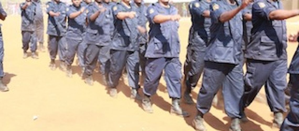 Autoridade Tributária de Moçambique quer arrecadar mais receita usando forças paramilitares