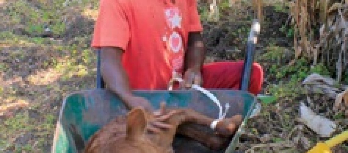 O Beto (também) é pastor