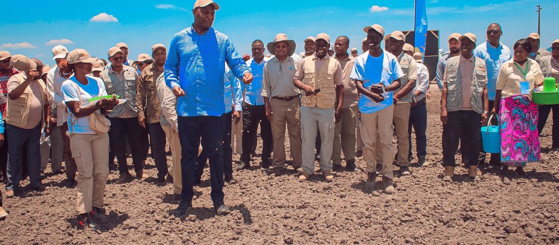 campanha-agraria-chapo-arroz