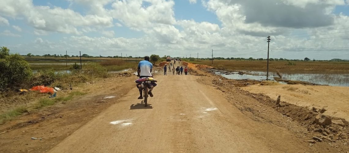 cheias-3001-en1-3fevincoluane