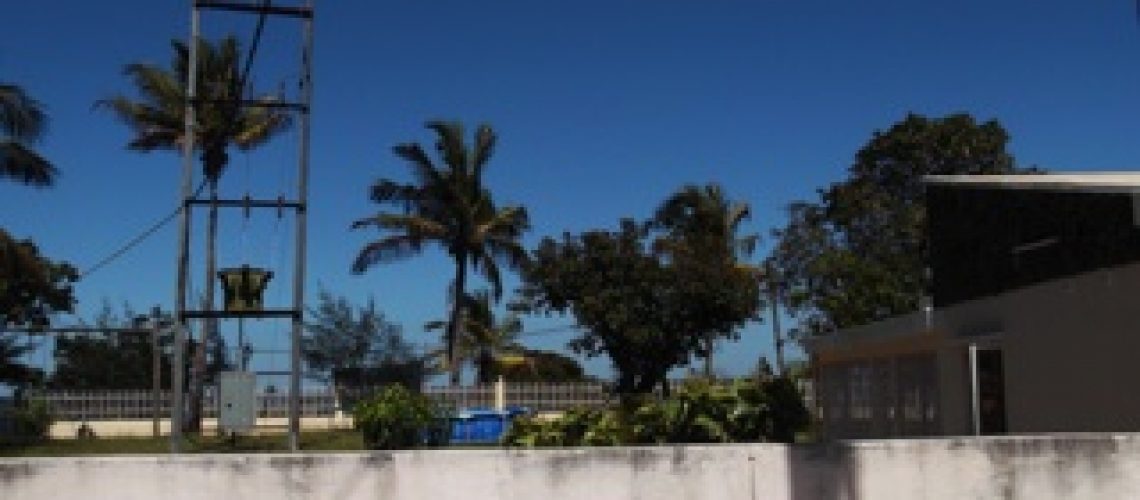 Consumidores da EDM em permanente perigo de morte