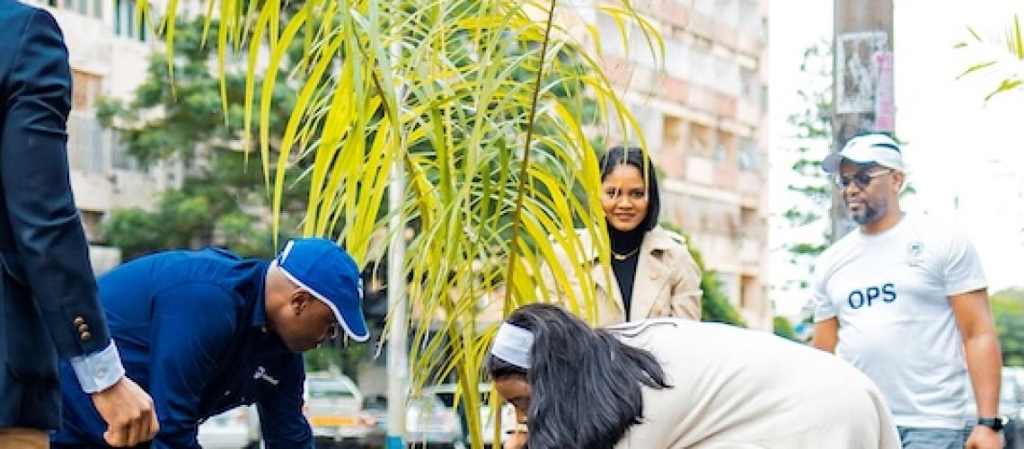 fim-sb-arvores-emondlane