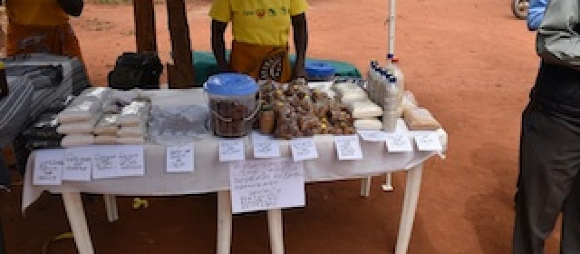 No corredor da Beira: BAD e Gapi juntos na promoção da mulher empreendedora