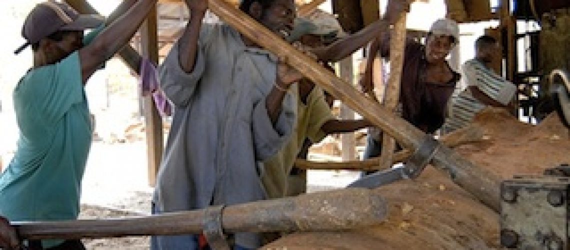 TCT recupera madeira desperdiçada por furtivos