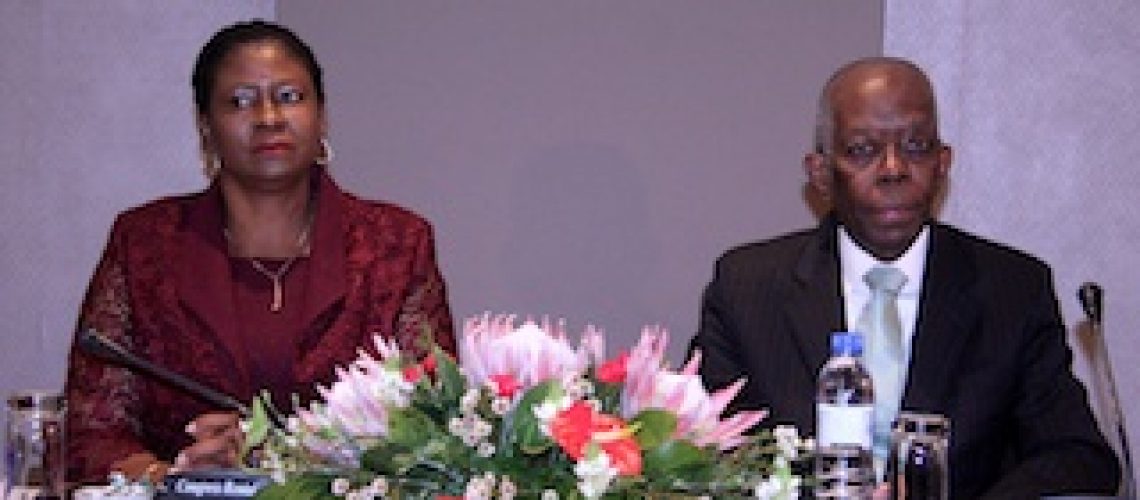 Adriano Maleiane: "Empresas participadas pelo Estado devem ser competitivas"