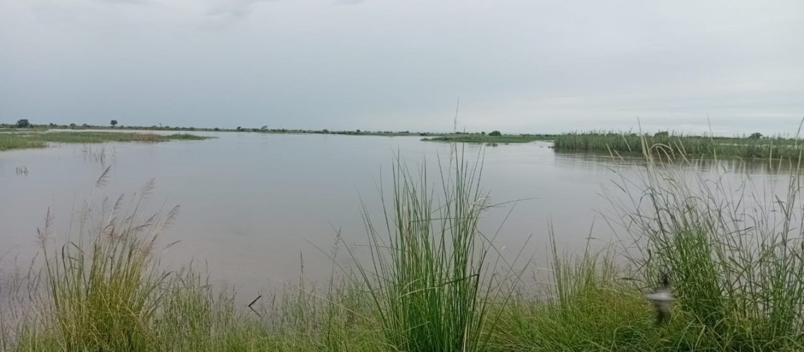 inundacao-limpopo-1401