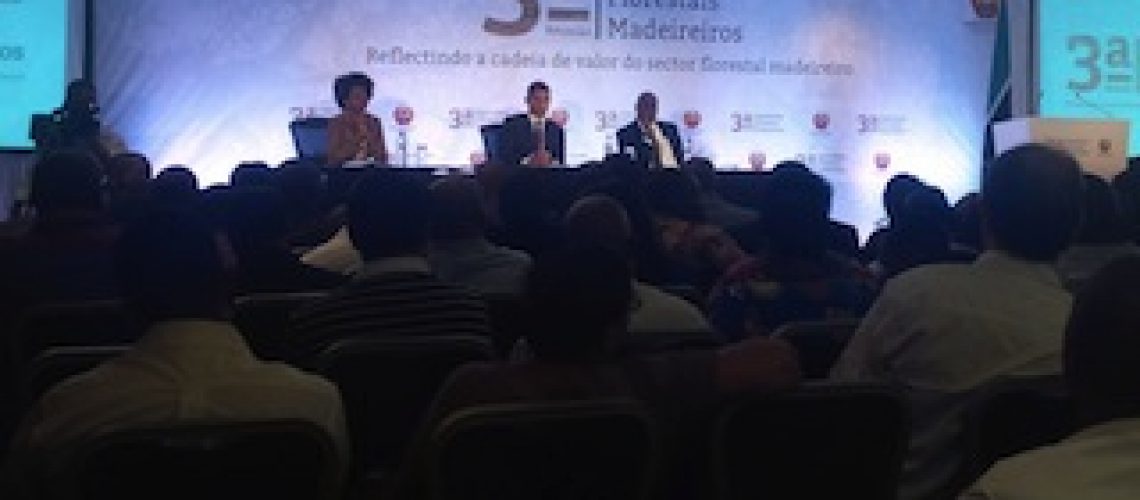 Defeso especial no sector de madeiras é para “salvar a floresta” no Centro e Norte de Moçambique