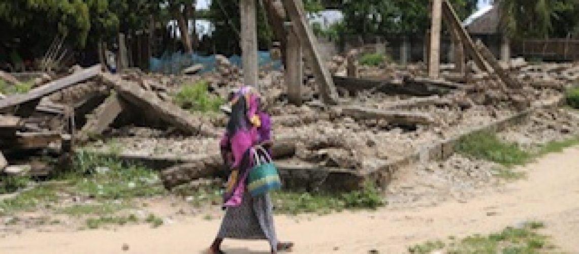 Al Shabaab moçambicano são jovens marginalizados que criam instabilidade para negócio ilícito de madeira