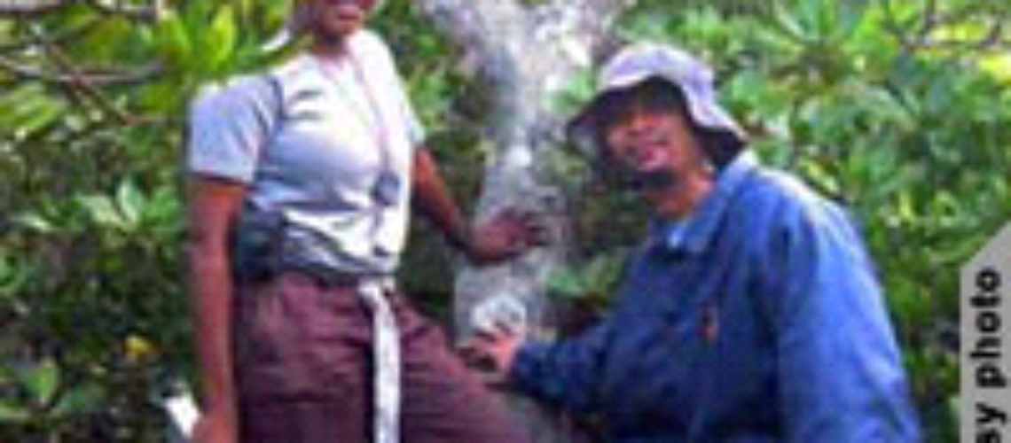 Conferência Mundial sobre Clima Lança Serviços Meteorológicos