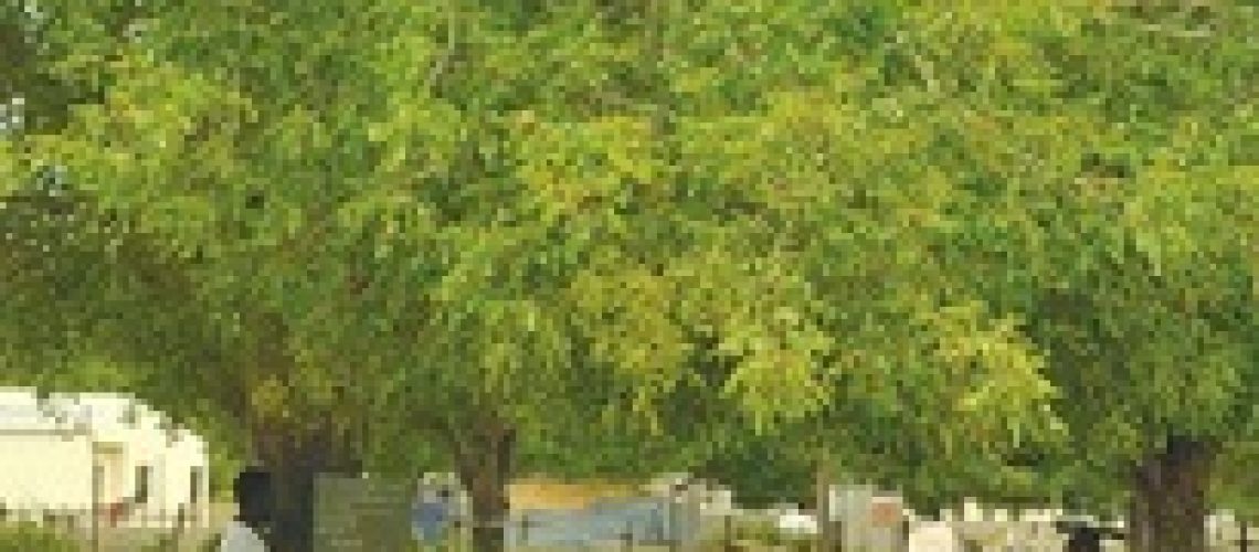 Um professor no distrito