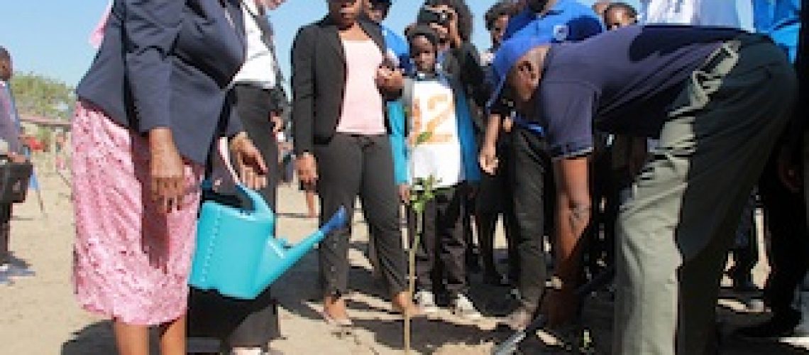 Plantio de mais de 3.000 árvores pelo Standard Bank: Conceita Sortane alerta sobre os comportamentos nocivos ao ambiente